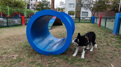 Parque canino en Arequipa